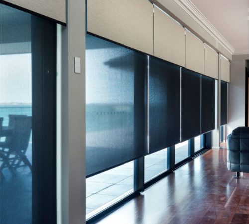Transparent rollers blinds